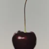Cherry Story Eau de Parfum (100 ml) Cherry Story Eau de Parfum (100 ml)